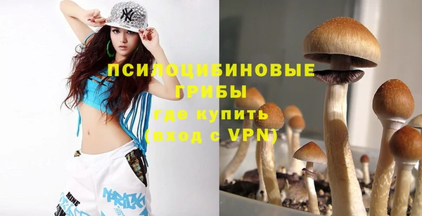 амф Струнино