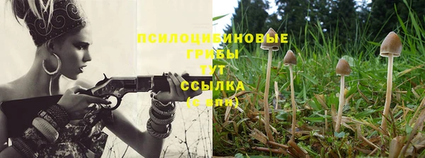 прущая мука Беломорск